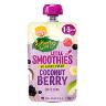 GARDEN COCONUT BERRY LITTLE SMOOTHIES 1-3 YR 120GM